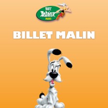 Parc Ast&eacute;rix - Billet Malin